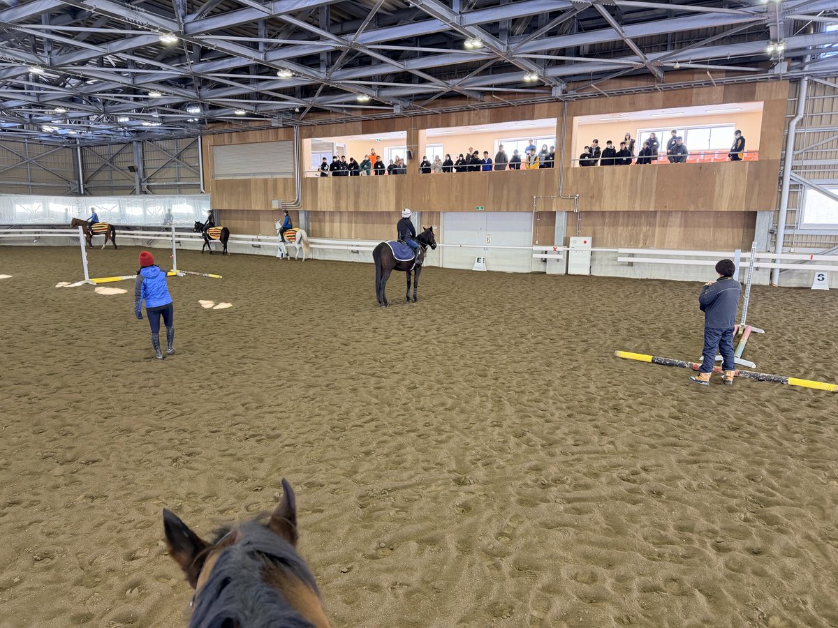 BTC研修】軽種馬育成調教センター (@BTC_urakawa) / Posts / X