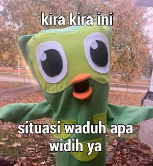 Duolingo Indonesia tweet media