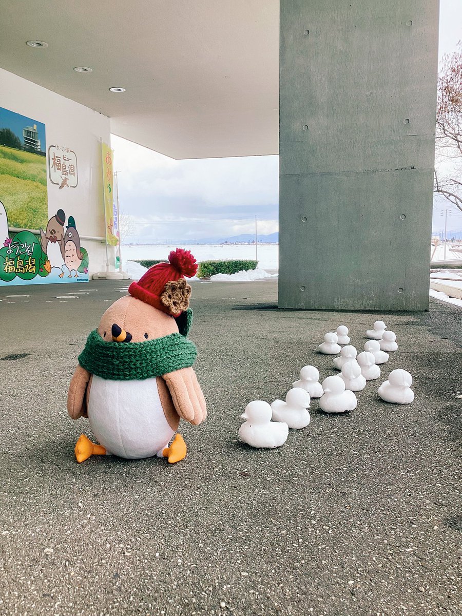 てくてく
みんなこっちだクイ！

#クイクイ　#福島潟