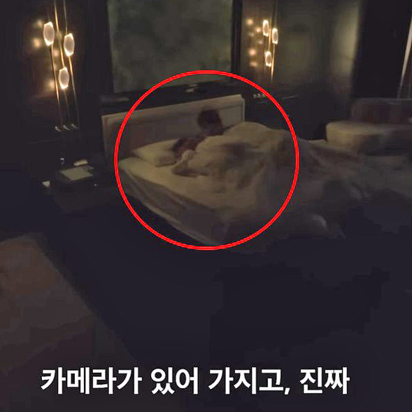 나무처럼 tweet media