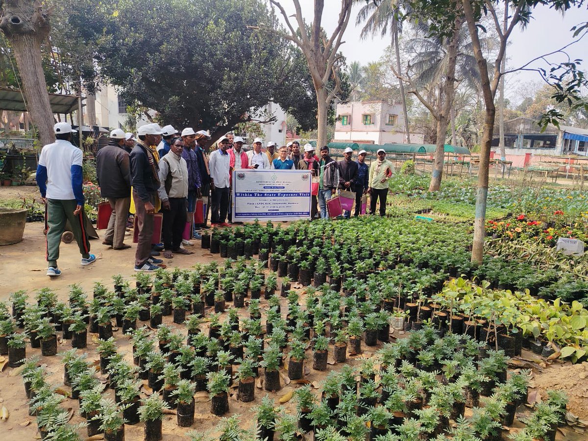 WBCADC KVK SONAMUKHI BANKURA tweet media