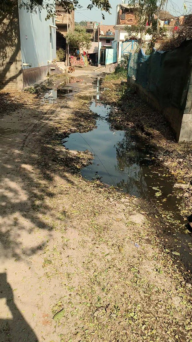 Prohitsachan's tweet photo. @myogiadityanath @AmarUjalaNews @myogioffice @oprajbhar @DM_Barabanki श्रीमान जी यह स्थिति ब्लॉक फतेहपुर ग्राम पं. गुडौली क़े अहमदपुर की है, सिर्फ लगभग 100 मीटर नाली निर्माण ना होने से 2 वर्षों से यही स्थिति है। पंचायत सचिव कार्ययोजना में शामिल नहीं है ऐसा कह रहे। https://t.co/XnzpWuaCEe