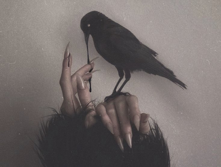 𝑳𝒖𝒍𝒖🖤 tweet media