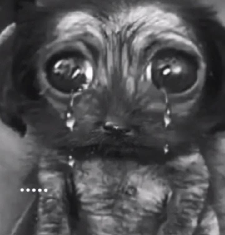 Cass. (@klttxhrt) on Twitter photo 