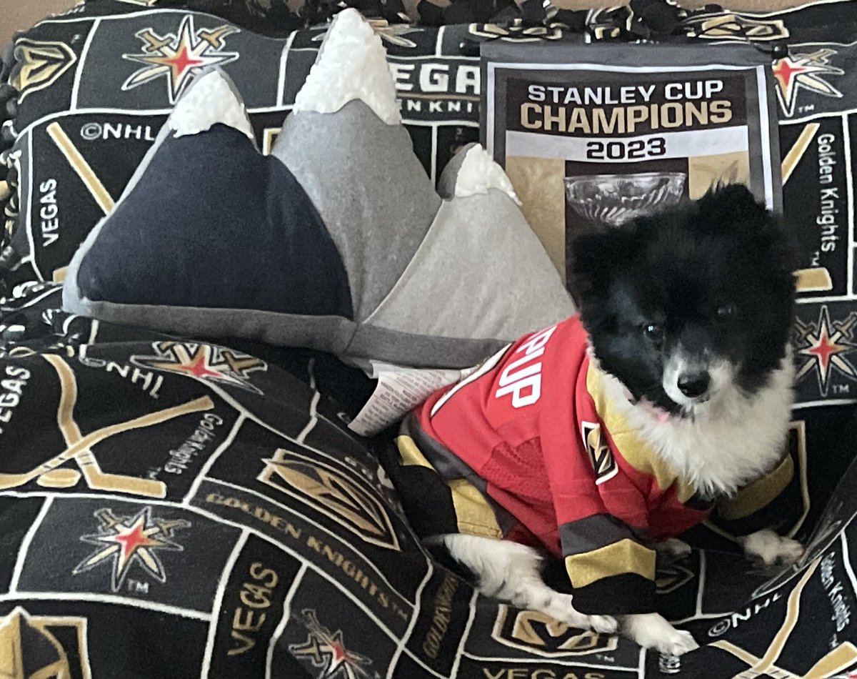 Hey there #VegasBorn!  Let’s welcome the boys back home by giving me #LuckyVGKNoseBoops!  Let’s go!!!!

#VGK9Krew
❤️🐼🐶