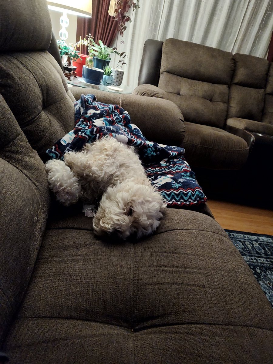 ordinaryguy64's tweet image. Tonights cuteness