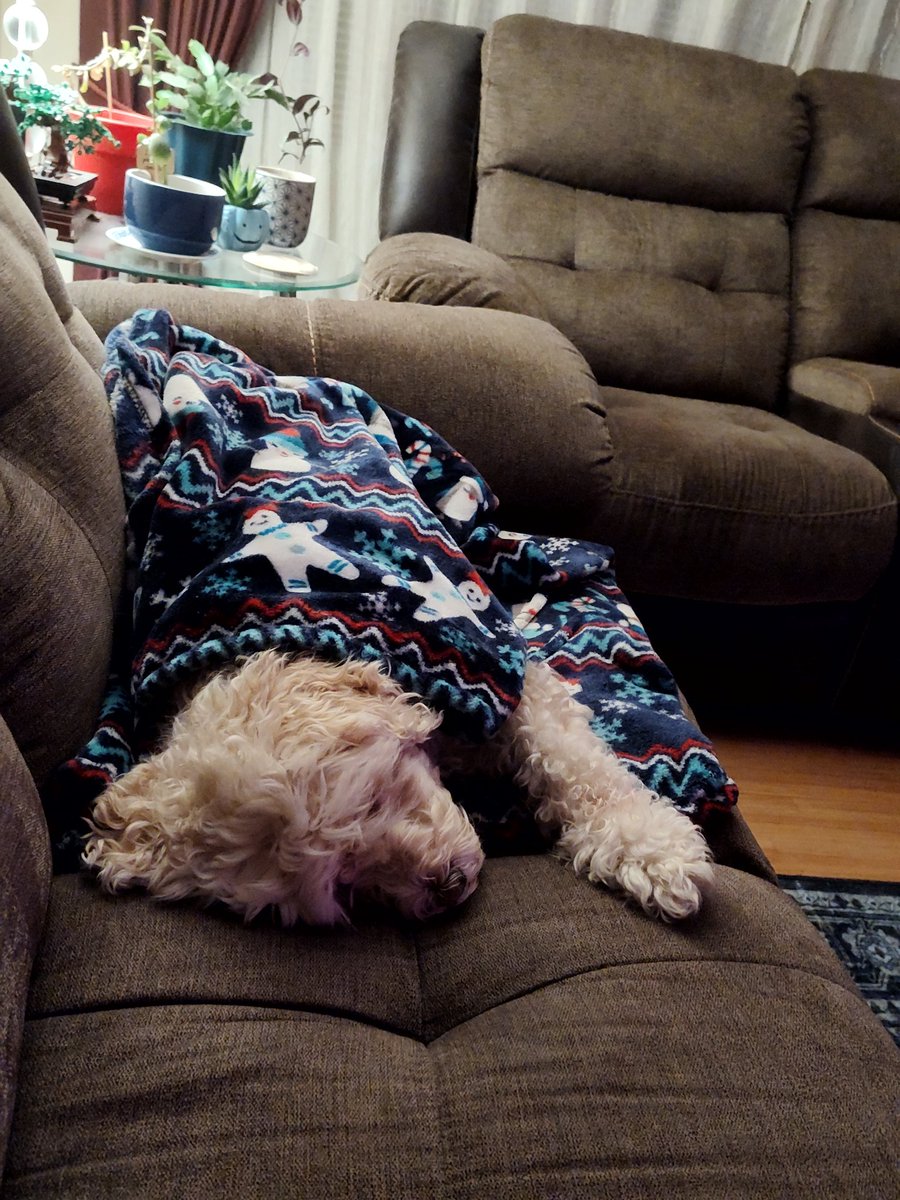 ordinaryguy64's tweet image. Tonights cuteness