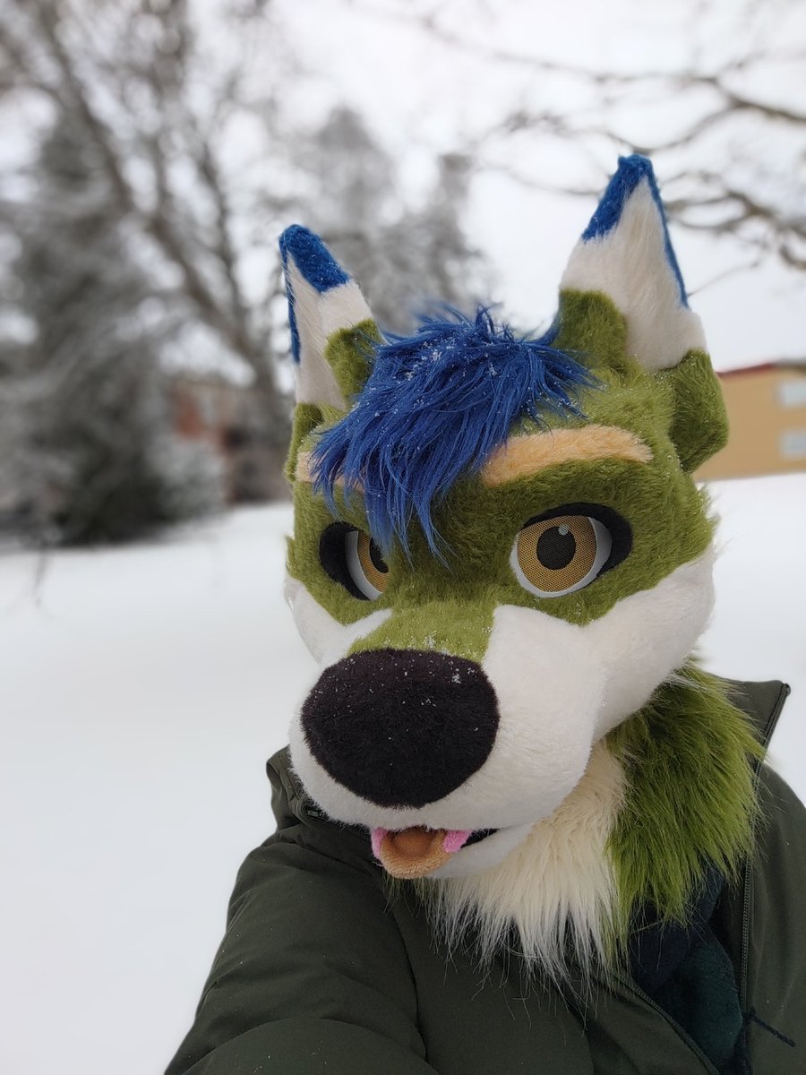 Wufuzz ➡️ ThaiTails 🇹🇭 tweet media