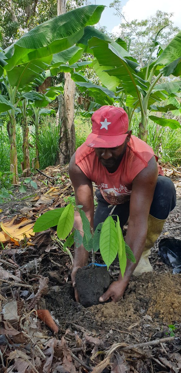 Catica Craft Chocolate tweet media