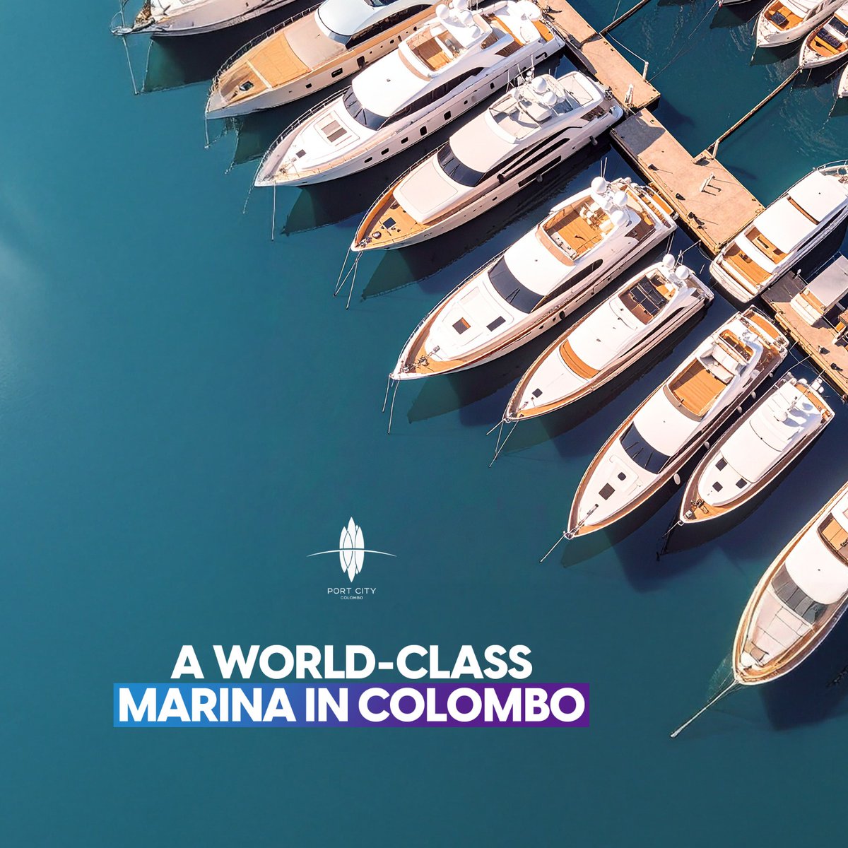 PortCityColombo's tweet photo. Dock your dreams at the iconic Port City Colombo Yacht Marina, where luxury meets the sea.
#YachtLife #LuxuryTravel #MarinaVibes #DreamDestination #SailingParadise #CoastalLiving #WaterfrontEscape #NauticalAdventure https://t.co/CVGrmzepBX