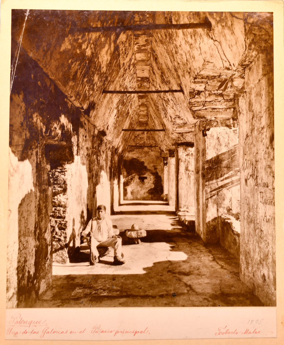 RicardoBSalinas's tweet image. Hoy en @ColeccionesRSP vamos a platicar acerca de Teoberto Maler y la memoria de piedra. 

A finales del siglo XIX, Teoberto Maler (1842–1917), uno de los pioneros de la fotografía arqueológica en Mesoamérica, recorrió México y Guatemala decidido a documentar sus antiguas…