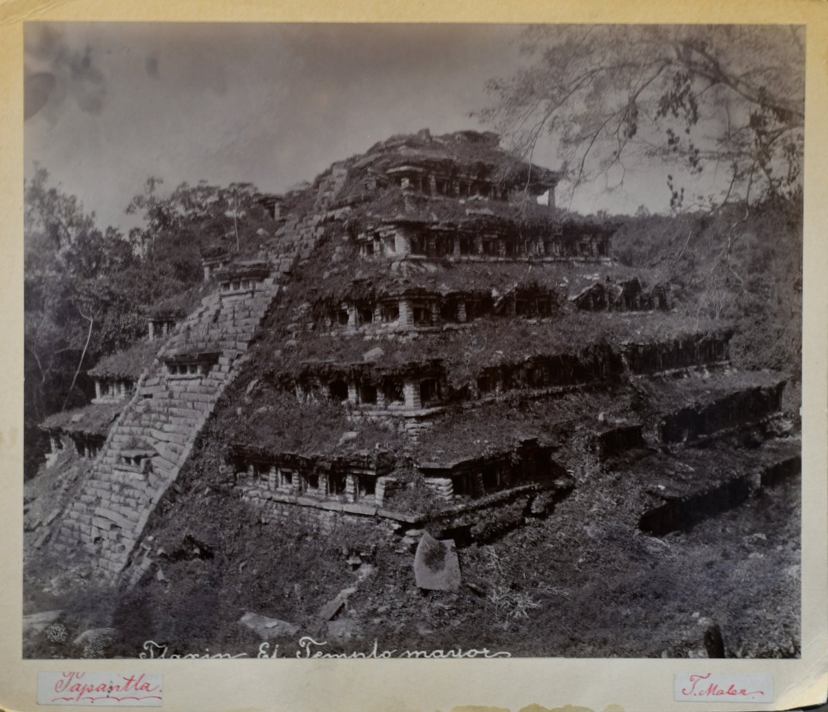 RicardoBSalinas's tweet image. Hoy en @ColeccionesRSP vamos a platicar acerca de Teoberto Maler y la memoria de piedra. 

A finales del siglo XIX, Teoberto Maler (1842–1917), uno de los pioneros de la fotografía arqueológica en Mesoamérica, recorrió México y Guatemala decidido a documentar sus antiguas…