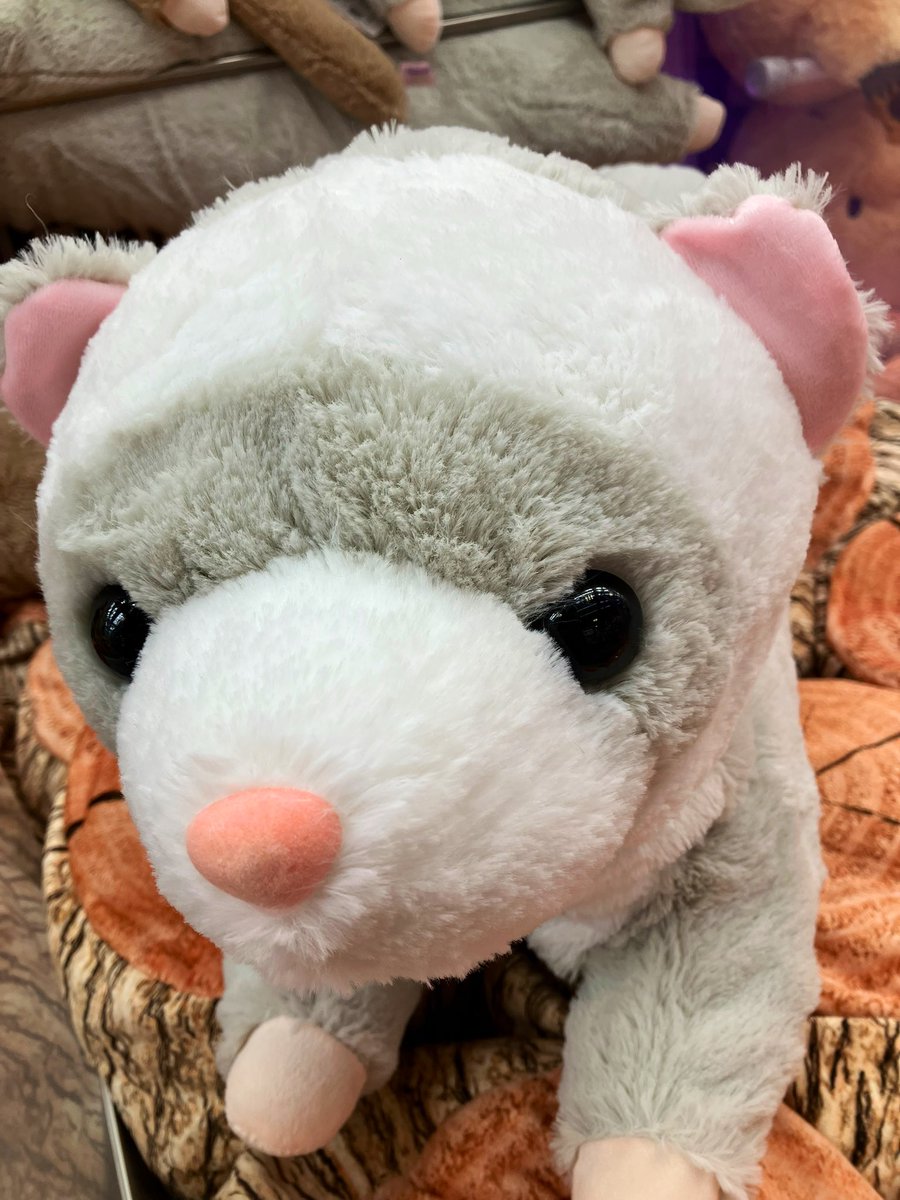 プライズ】新景品🌟「くったりロングフェレット超超ウルトラBIG」が