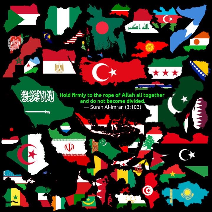 Shefqet Fejzo🇦🇱 tweet media