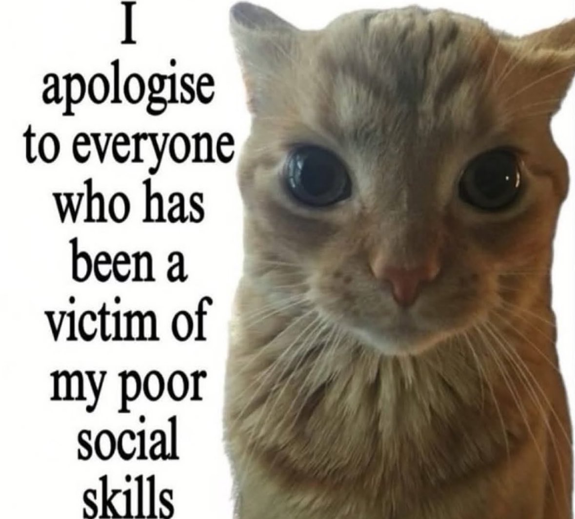 ♡ (@astralbaes) on Twitter photo 