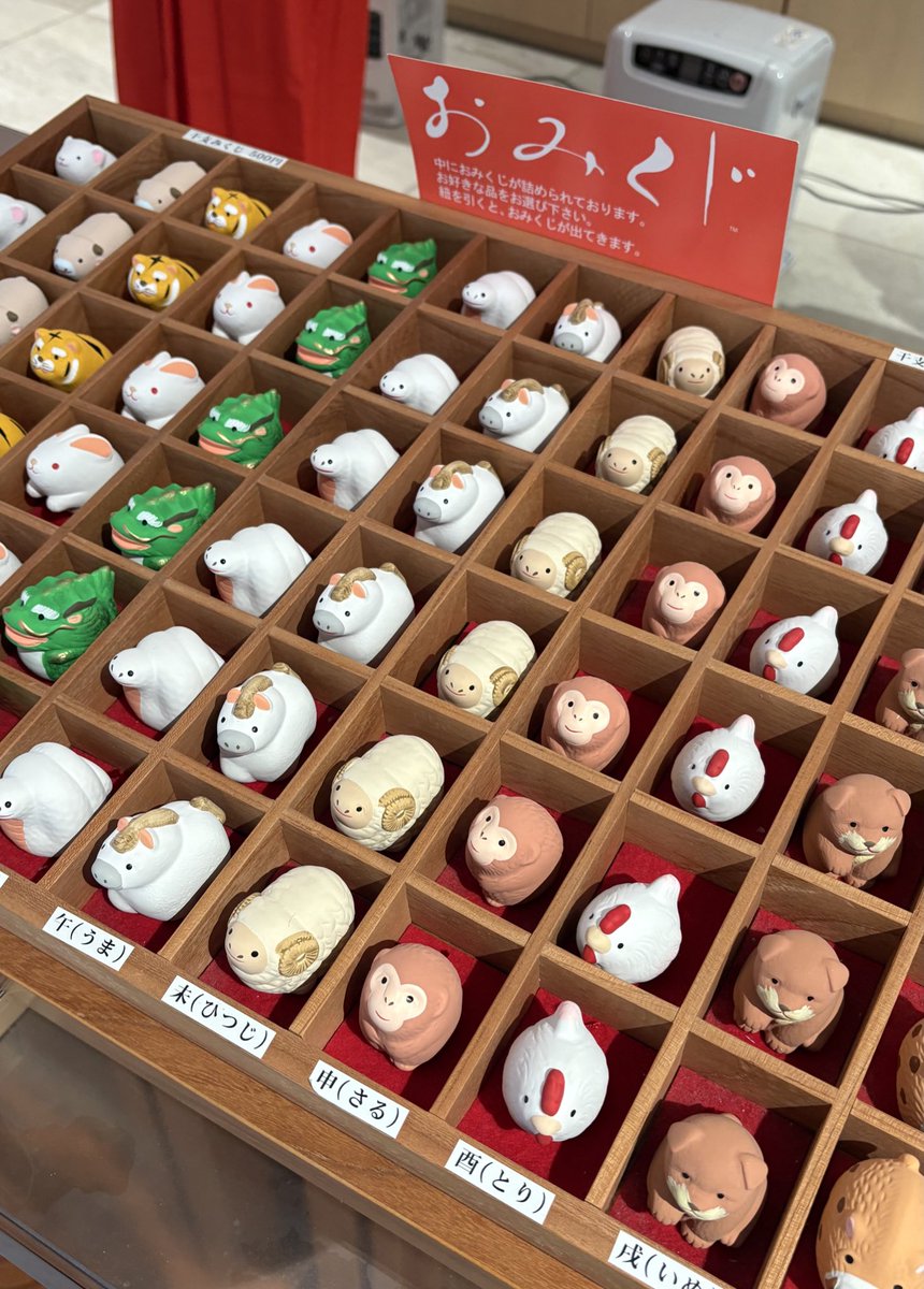 돈불이 tweet media