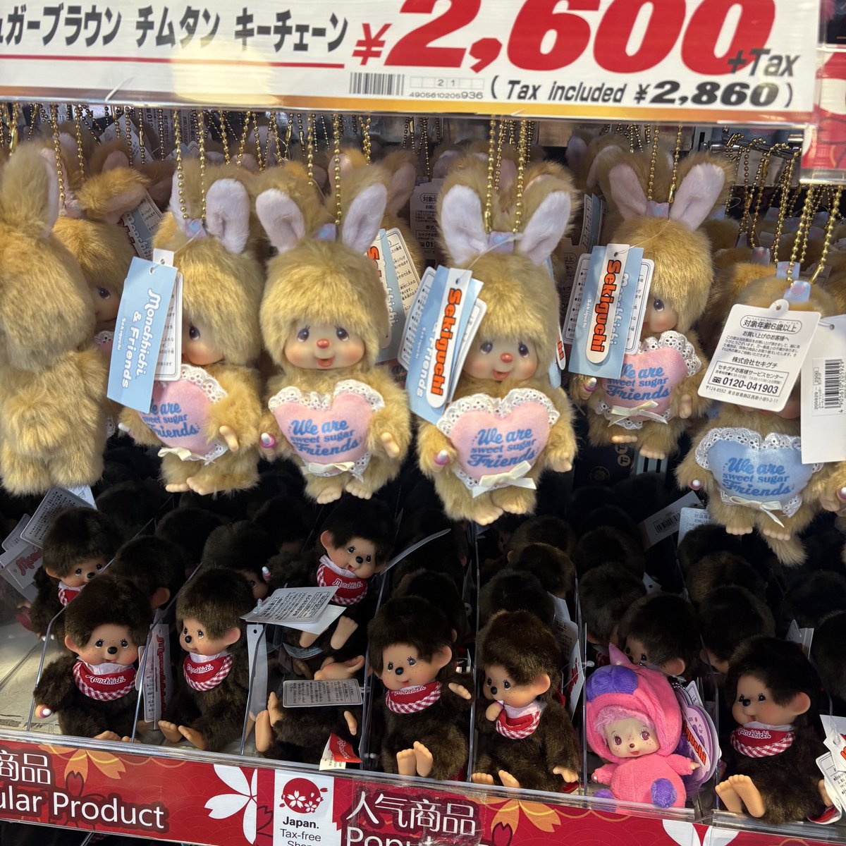 돈불이 tweet media