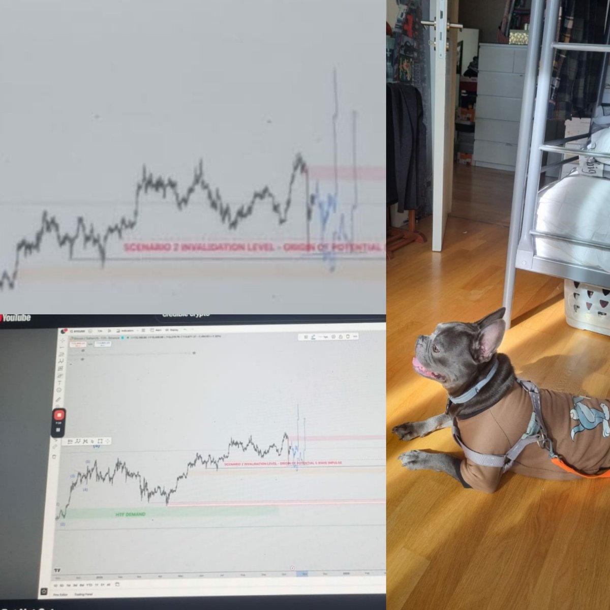 mrt_EmJ's tweet photo. Why 74
😸
@CredibleCrypto https://t.co/0wUXaNwQQ1