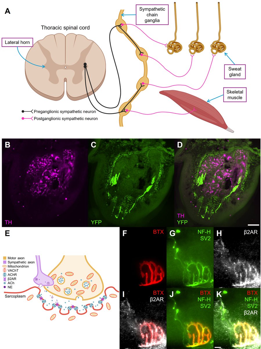 Tina Tian tweet media