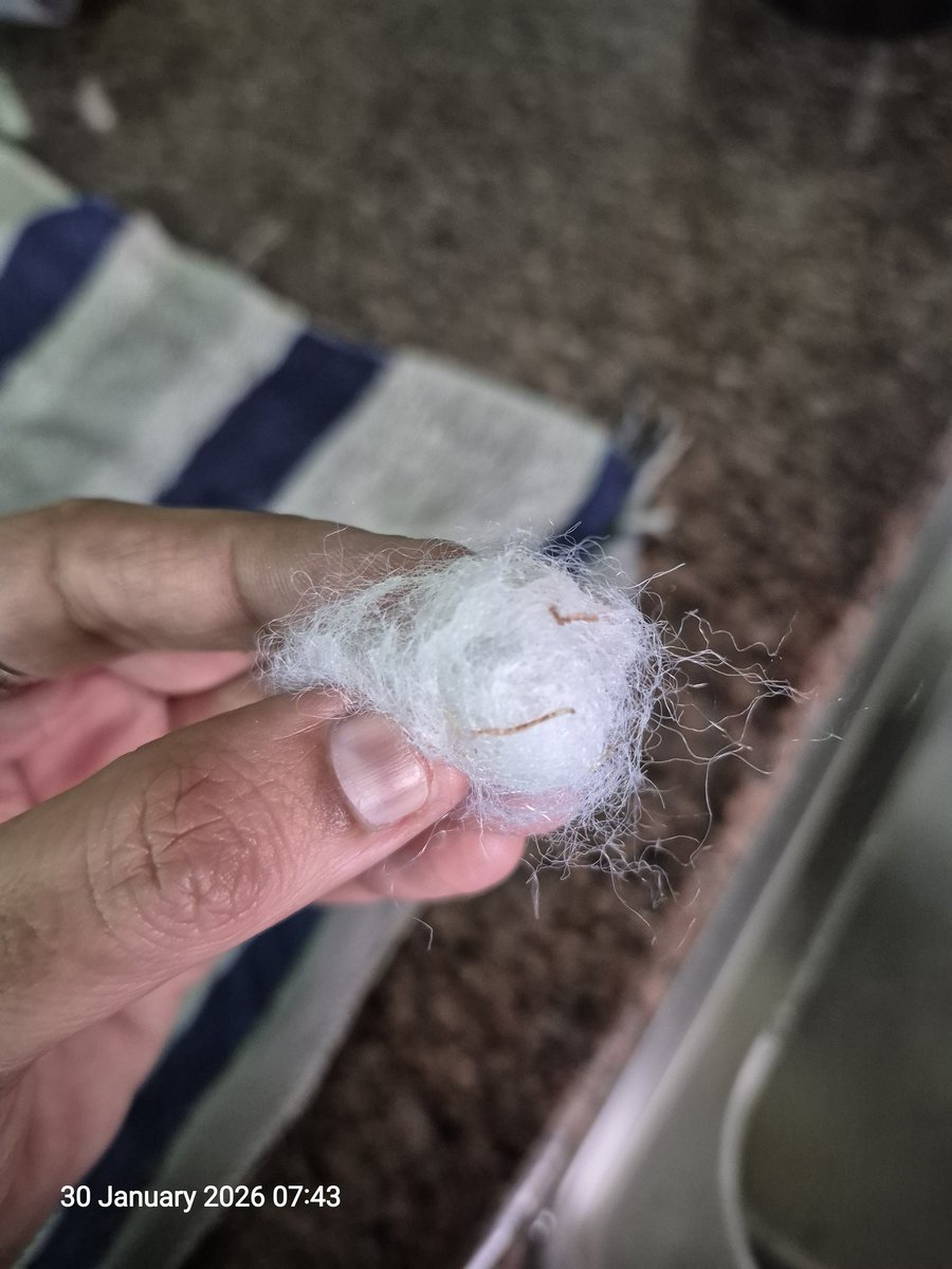 Payal Vira tweet media