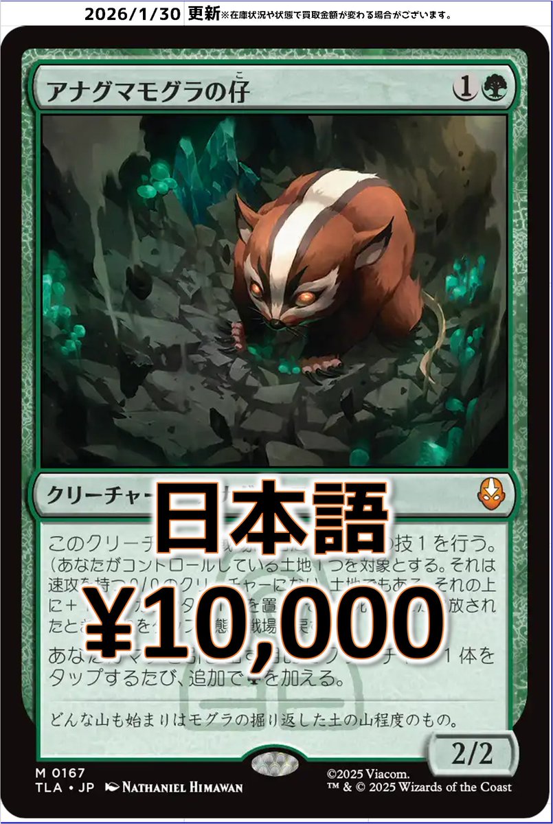 アナグマモグラの仔 日語非foil 1枚 MTG アナグマモグラの仔 日本語 ボーダーレス foil - メルカリ