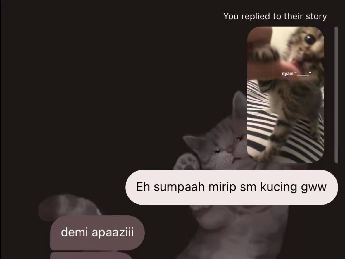 al🛋️ tweet media