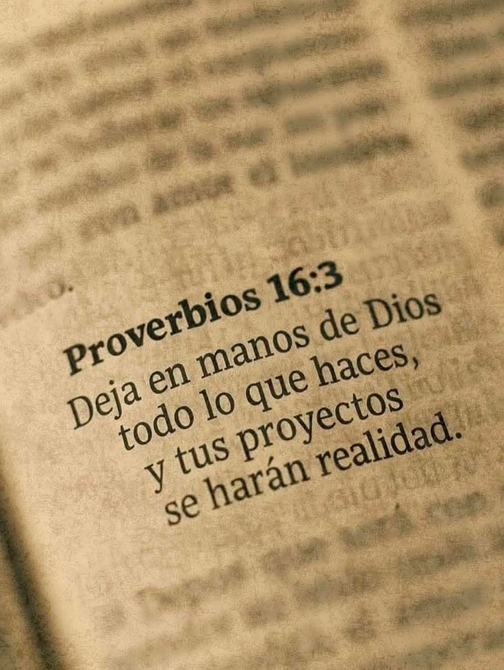 Bendición en Línea (@bibliainlinea) on Twitter photo 