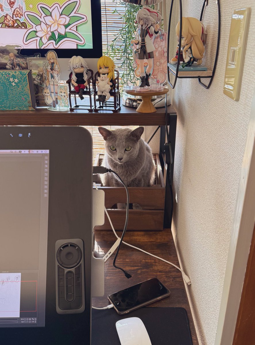 めぐ☆ページ Post by なぐ🦁⚜️ on X: 入ってる…📦