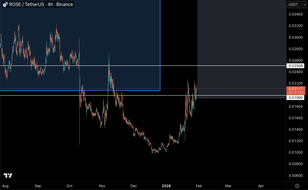 Castillo Trading tweet media
