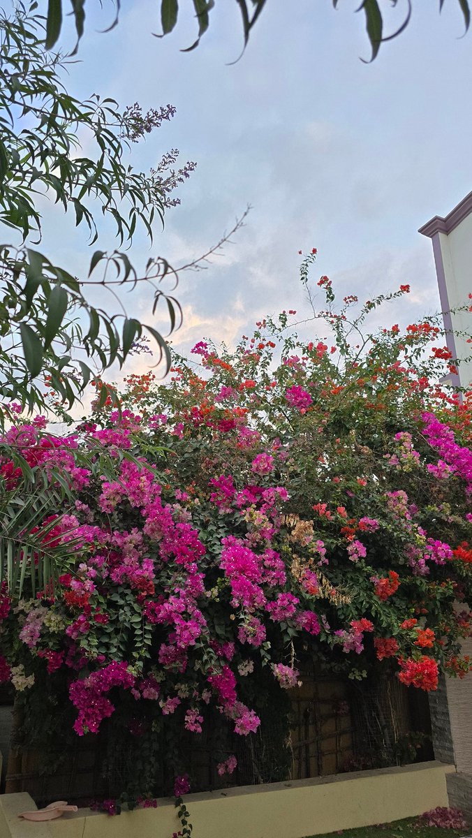 قال الإمام الشافعيّ رحمه الله:
خير الدُّنيا والآخِرة في خمسِ خصَال: 

"غِنى النَّفس، وكفُّ الأذىٰ، وكسبُ الحلَال، ولِباسُ التَّقوىٰ، والثّقةُ باللّٰه علىٰ كلِّ حال".