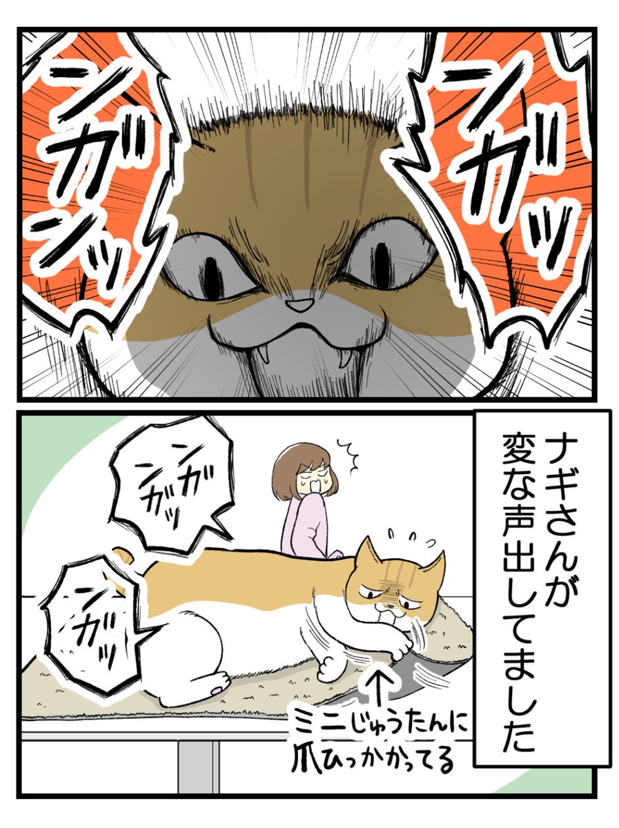 まろん茶ページ②③ まろん茶ページ②③ まろん茶ページ②③ 2023_Kawasaki_NinjaZX