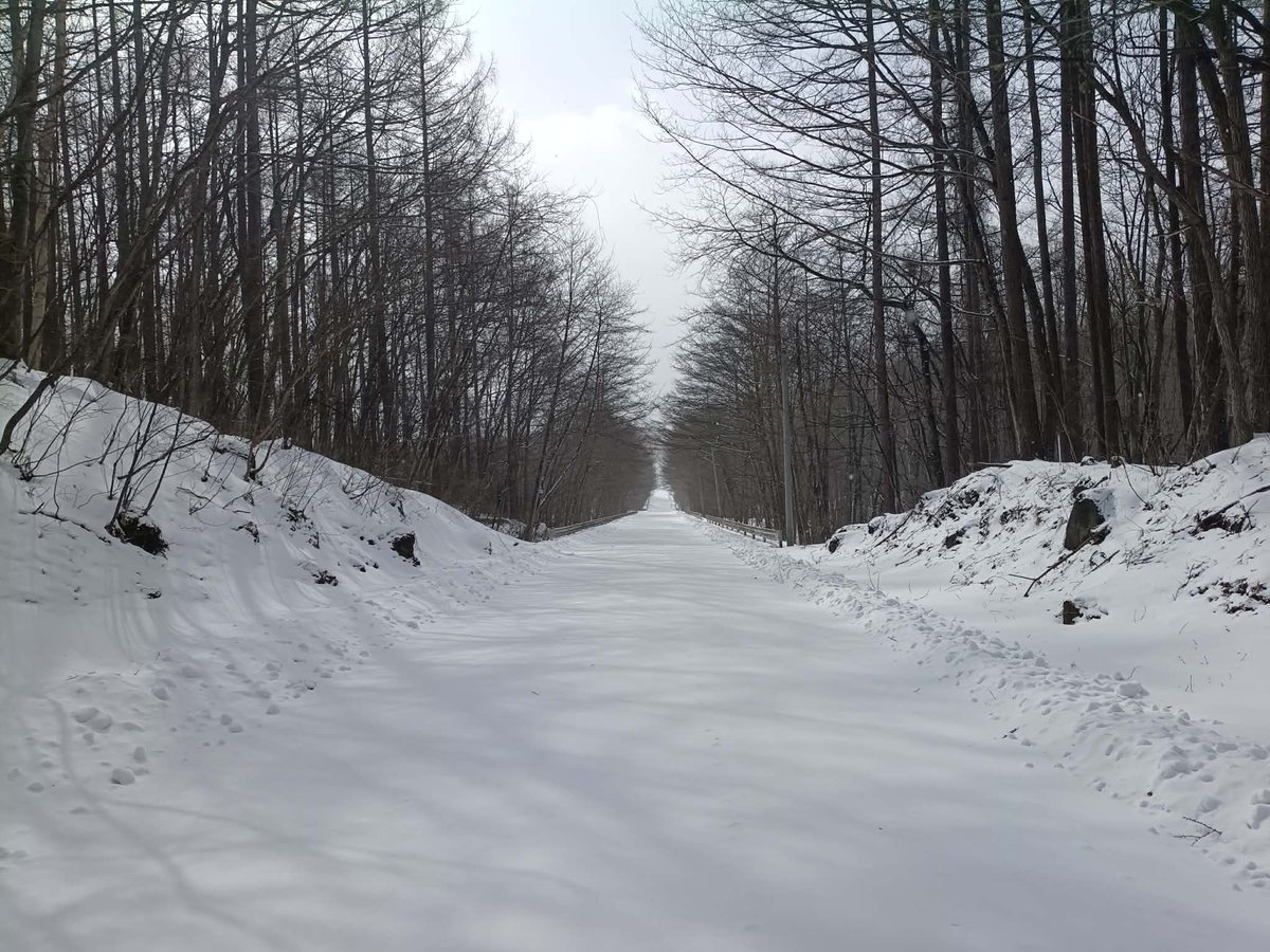 m_rallyjapan's tweet photo. >参加選手の皆さんへ
本日のパノラマSSの様子です
スノーラリーは降雪でガラリと雰囲気変わりますね
#ラリーオブ嬬恋
#群馬県嬬恋村
#MOSCO
#ASAMA https://t.co/9PpTBIFpXj