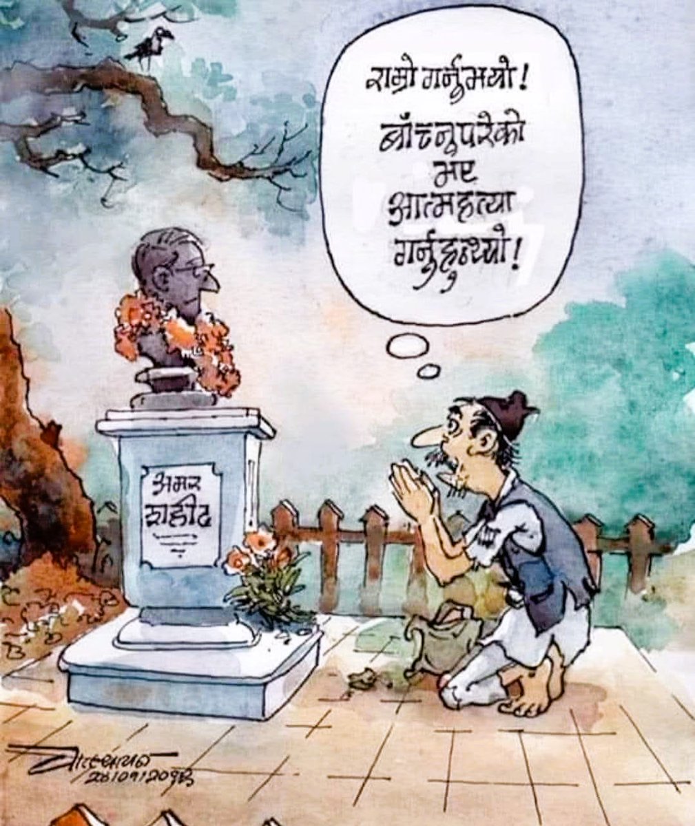 Nature Lover tweet media