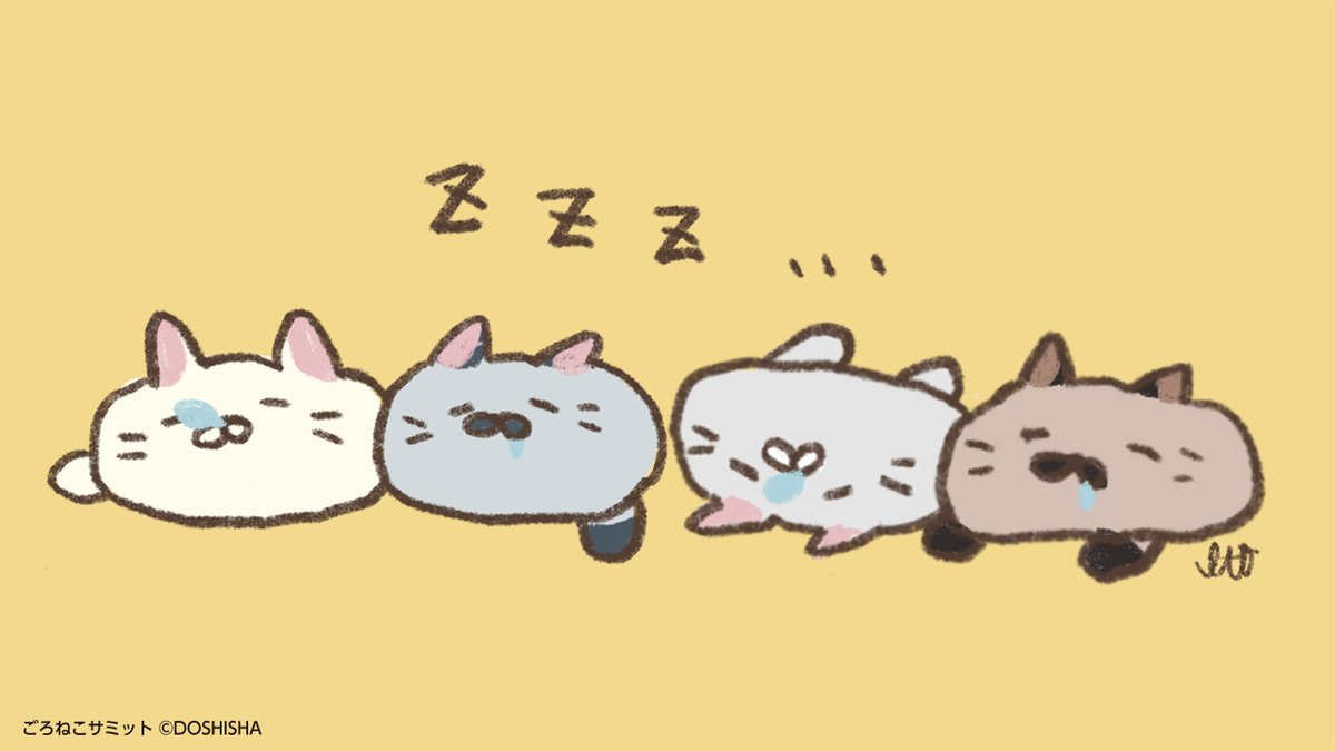 ごろねこサミット イトウ【公式】 tweet media