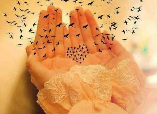 Can Tanem tweet media