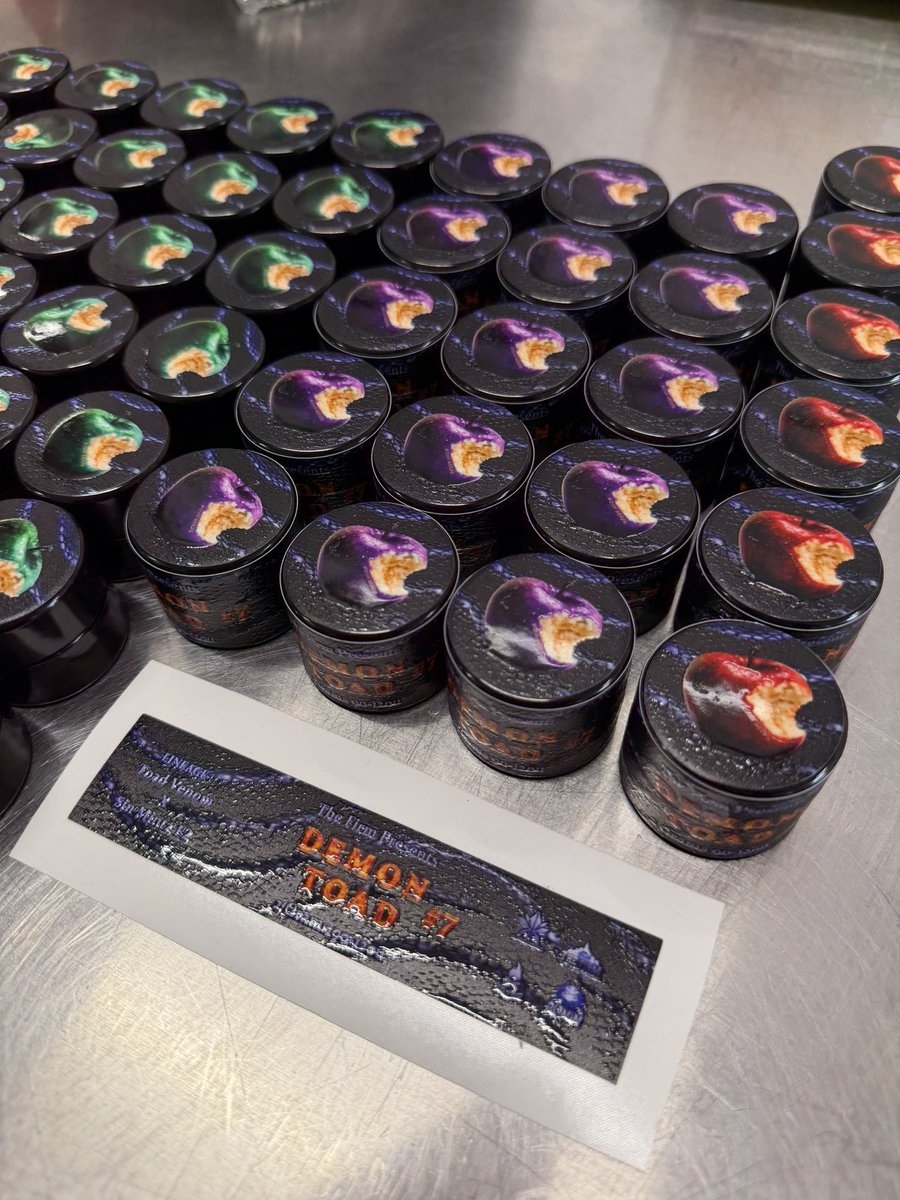 Demon Toad 🐸🦇 

( Toad Venom x Sin Mintz F2) 

Tomorrow at <a href="/lakushklinic/">kushklinic</a> we release our top three selections from a new Toad cross. 

Chosen with discipline, not hype.
Progress over noise. Precision over volume.