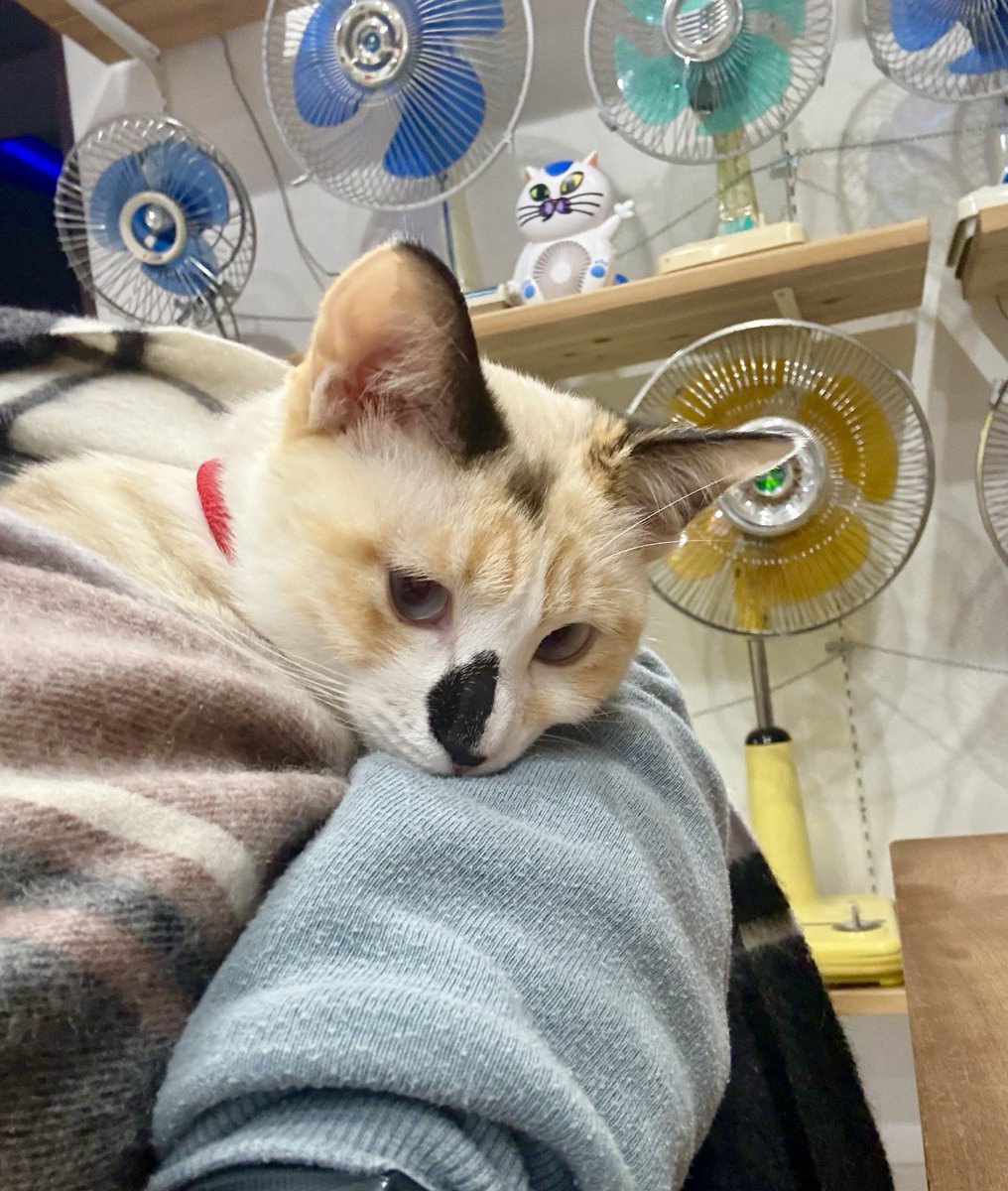 なみそ📕KEN/書籍重版！感謝📙 (@omochi_nam01) / Posts / X