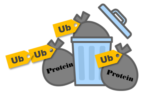 東京大学医科学研究所 tweet media