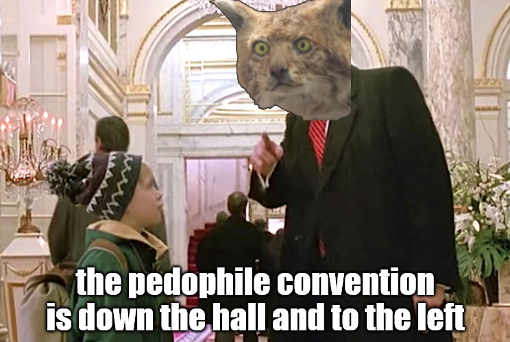 BOBCAT MAN tweet media