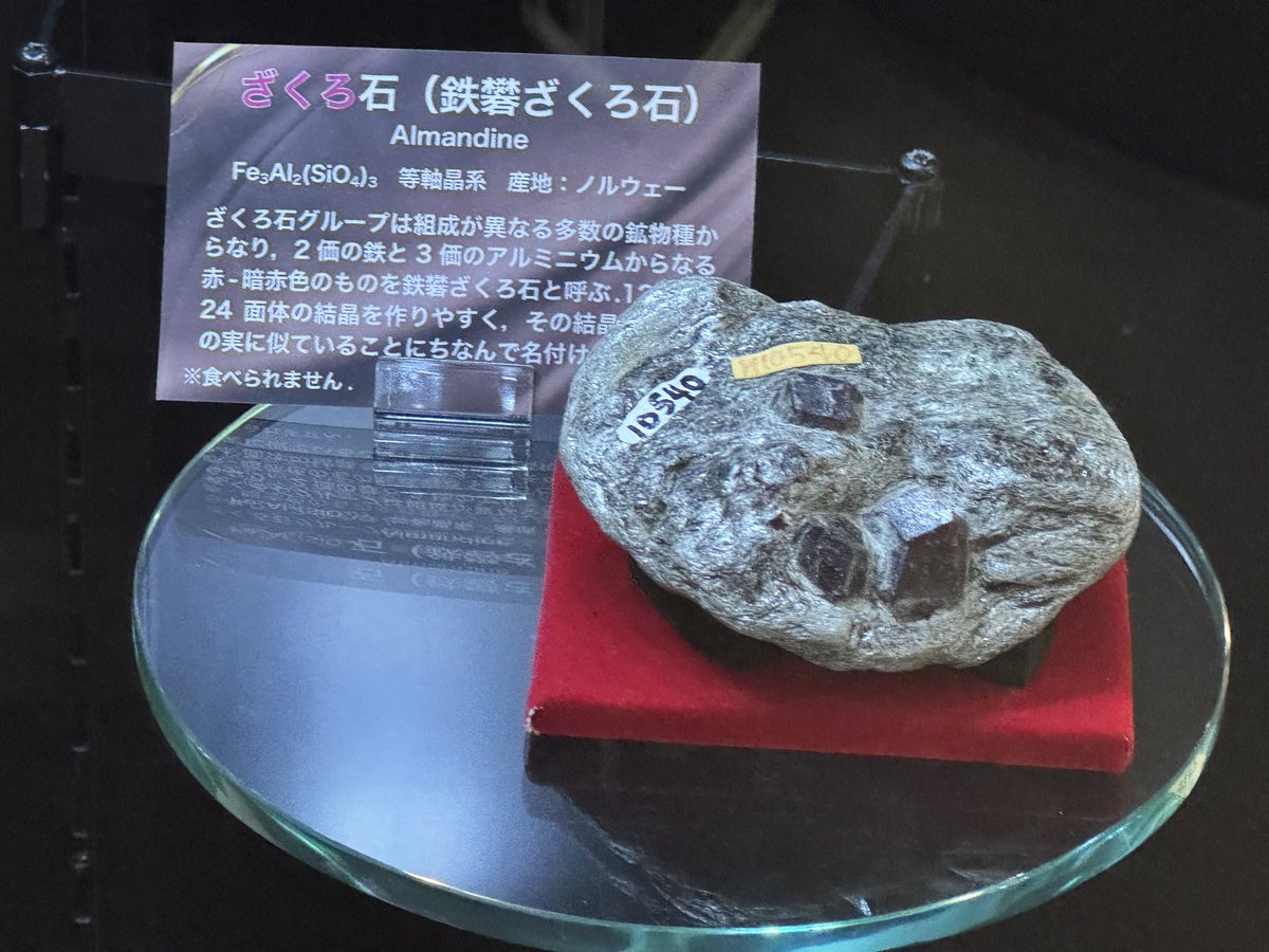 日本地質学会 tweet media