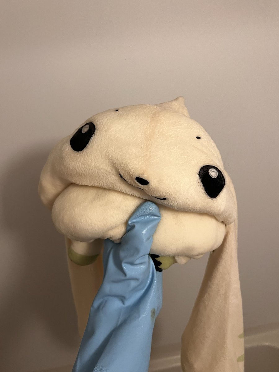 Help i was just trying to wash my terriermon plushie