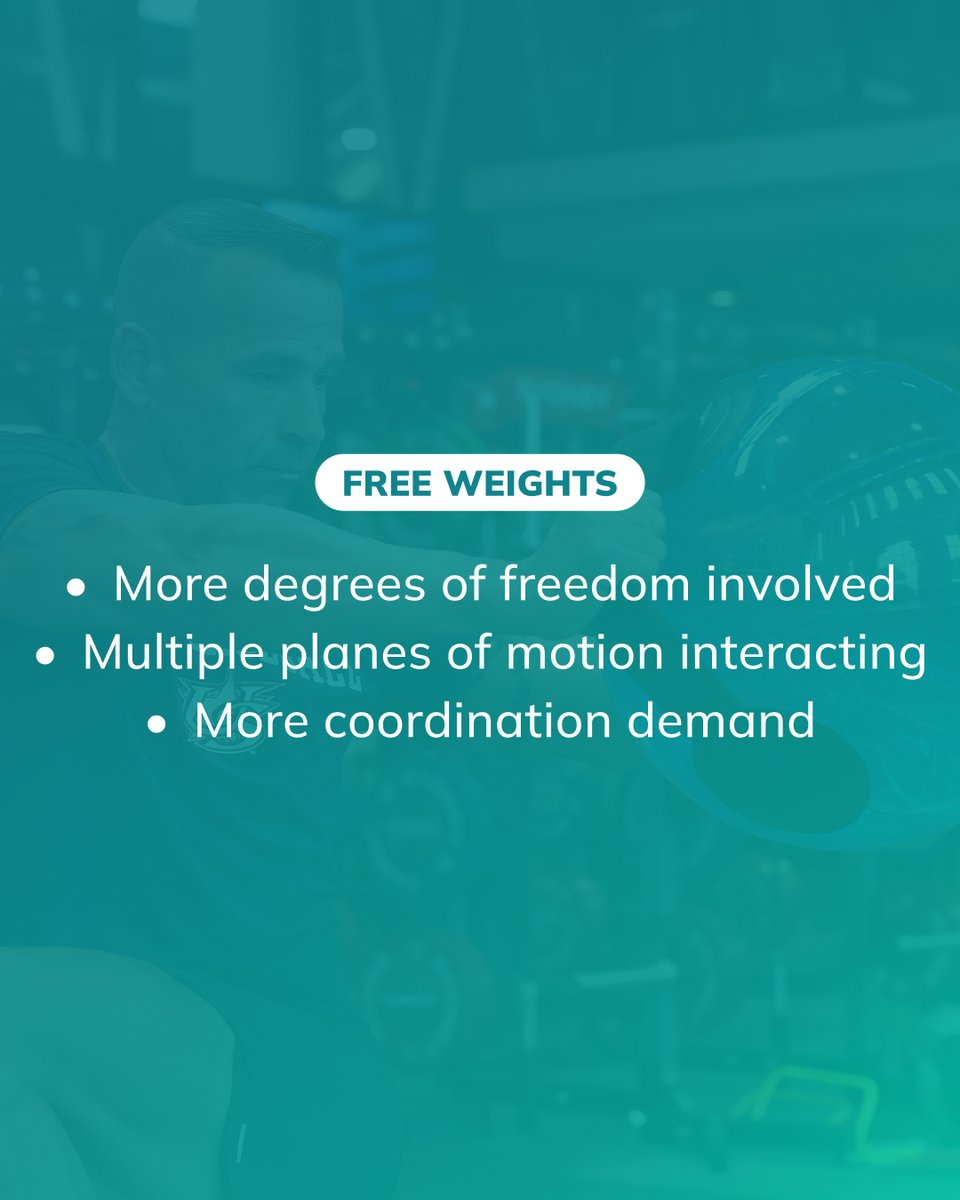 Frans Bosch Systems tweet media