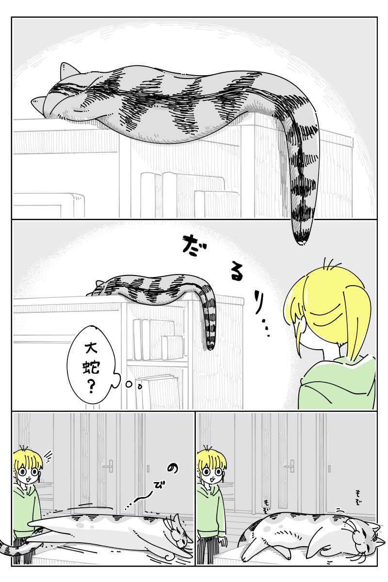 Post by キュルZ on X: ネコ時々大蛇