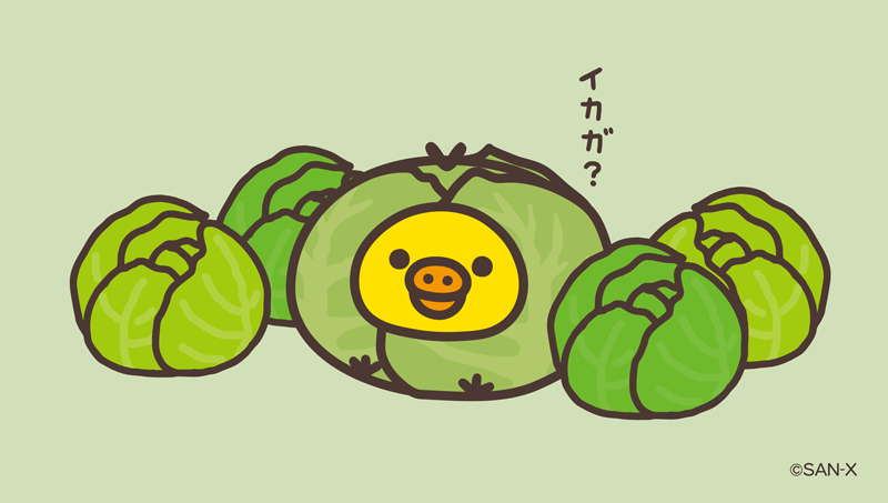 🐥oのつく日はキイロイトリの日🐥 シュンデスヨ🥬