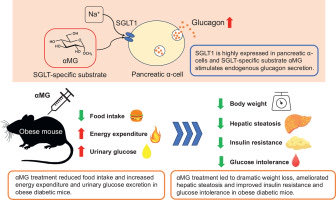 Daniel J Drucker tweet media