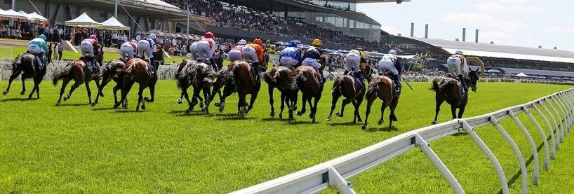 Rosehill Gardens hosts a ten-race card this Saturday boasting three Group 3 races.

Trent Orwin is in the saddle to bring us his preview and tips for the card here: beforeyoubet.com.au/rosehill-racin… #Racing #Rosehill #BestBets