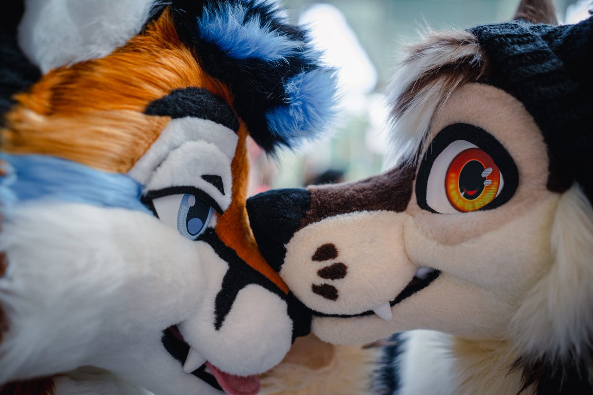 Ari 🦊 🔜 FWA (@FoxNamedAri) / Posts / X