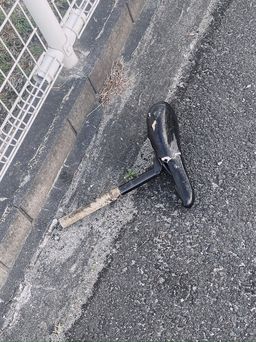 かわうそ🍡 tweet media