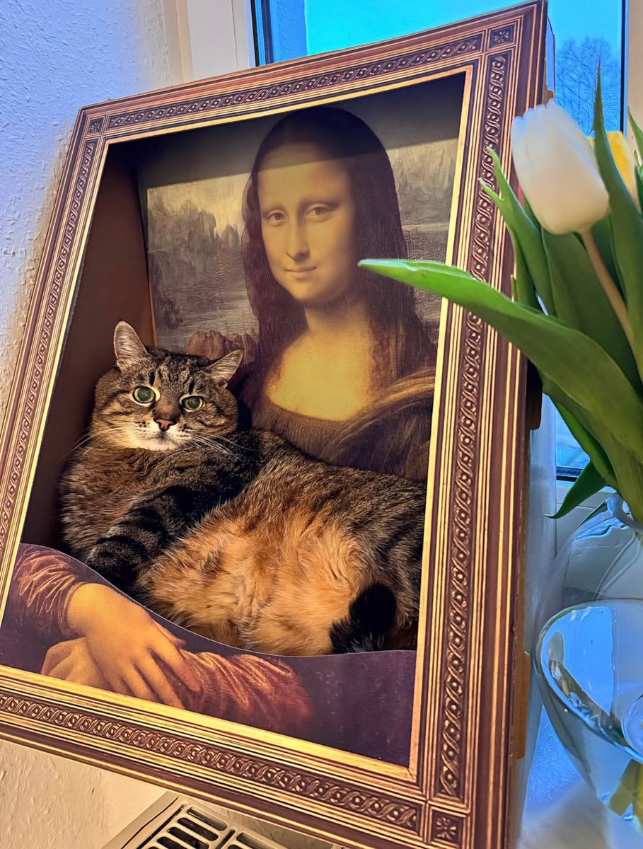 meow tweet media