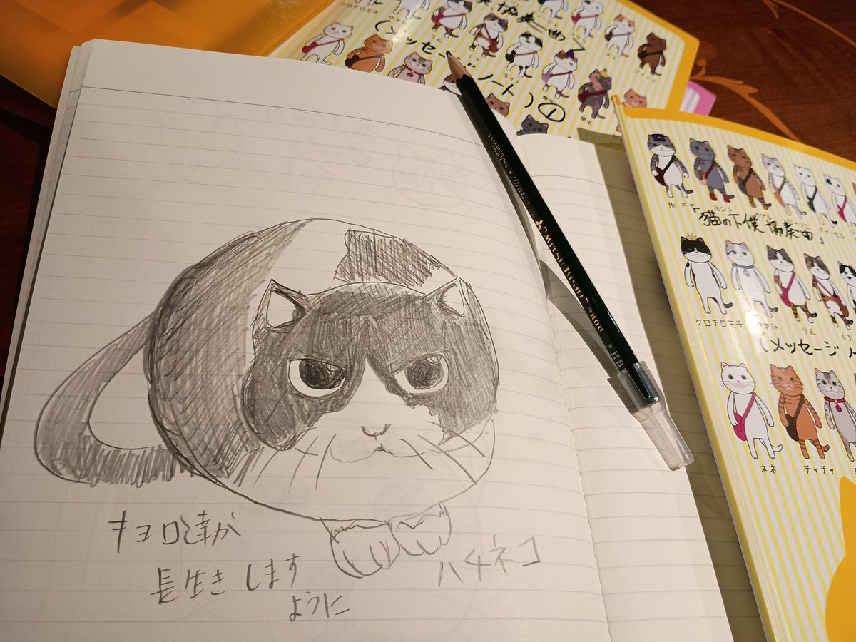 ハチネコ (@hatinekochan) / Posts / X